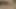 69 fuck each other,while she sucks and licks my cock,I lick her ass and suck pussy
