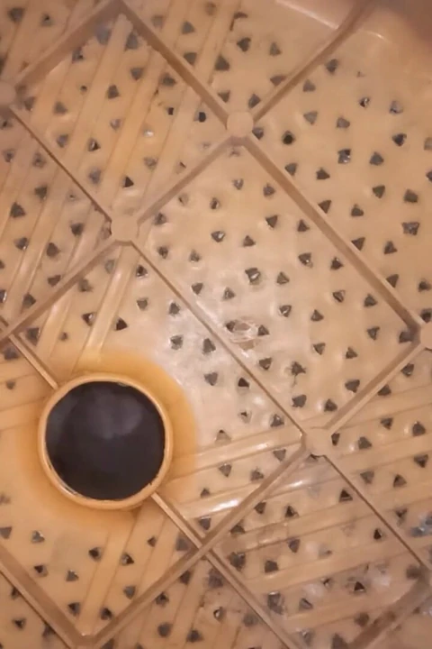 Senin için penis