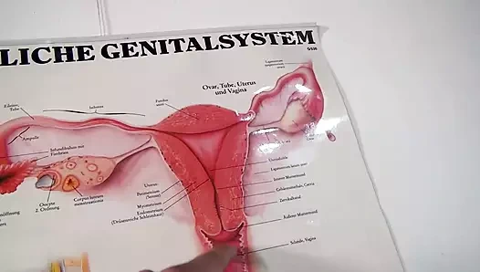 Schlampen zum Ficken - Episode 1