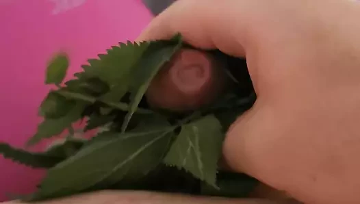 I'm masturbating with nettles again in pink Nike Pro leggings. It's so hot!