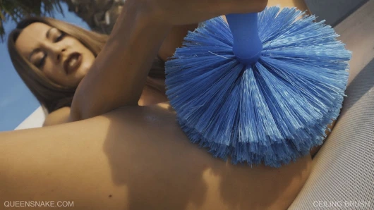 Tavan fırçası - queensnake.com - queensect.com