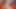 Angelica castro web kamerası - busty sarışın ve kedi alay