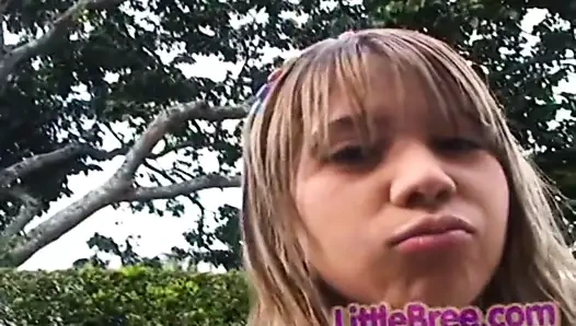 Küçük latin amını yayıyor