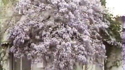 Tu la tire ou tu la ...?