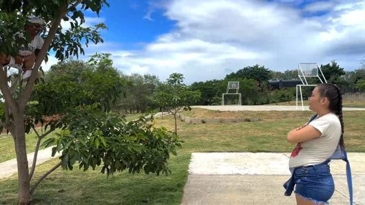 Ağaca binen küçük bir cüce görüyorum ve egzersiz yaparken beni izliyor ve içime gelene kadar beni sikmesi için dairesine davet ediyor