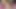 Üvey kız kardeşimi Onlyfans yaparken yakaladım ve onu onu sikmeme izin vermesine ikna etti