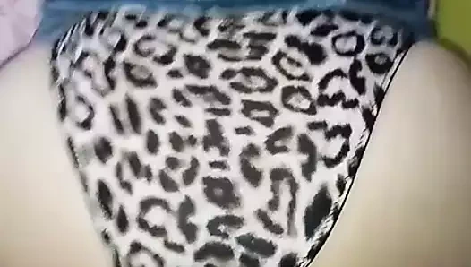 calzon tigreado
