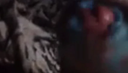 Beni külot kullanarak cep kedi