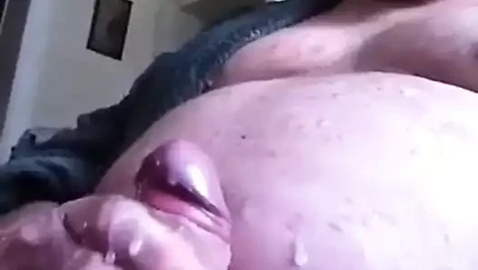 Ursos