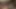 Kirli Avrupalı orta yaşlı seksi kadın iki siyah yarağı ve beyaz bir yarağı büyük bir dörtlü grup sekste alıyor