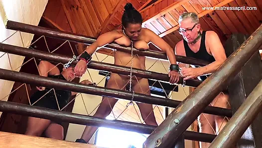 Dominatrix Mistress April - Punishment just for fun Rose 4