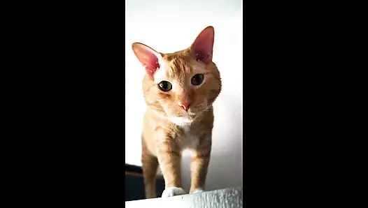 Çıplak vücudumla resim çiziyorum