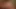 Erkek arkadaşıyla en iyi porno okulu kızı