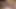 Güzel büyük yarak transeksüel boşalıyor ateşli seks videosu seksi xnxx videoları xhamster videosu