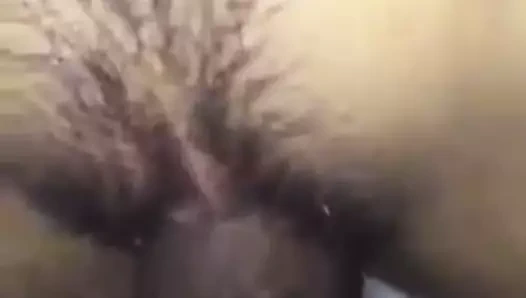 tatlım sahiptir ile KEDİ