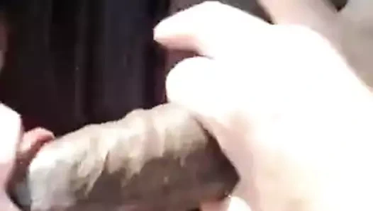 Bükreş'te tinder'dan bir ahbap üfleme