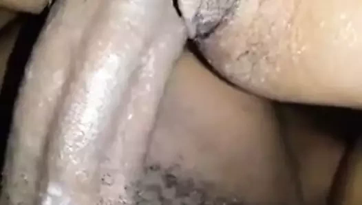 Kedi dudakları çırpıyor