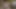VIP4k. genç öğrencinin acil bir durumu var, neden kabul ediyor
