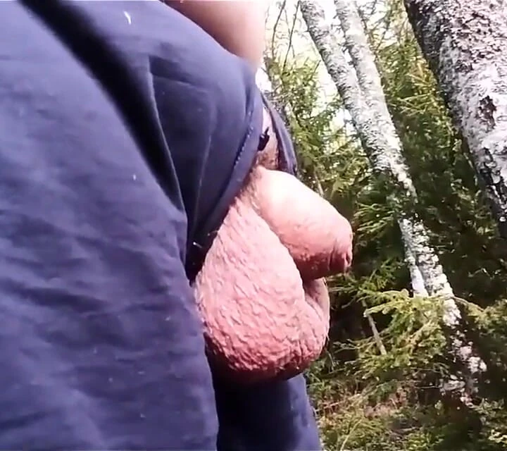 Sidik kölemi ye