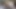 Pürüzsüz götlü azgın genç kız külot evinde sert damarlı yarağı sikiyor trans porno