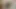 azgın aşıklar beceriyor birbirlerini vahşi