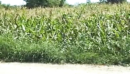 Passaggi dagli sconosciuti