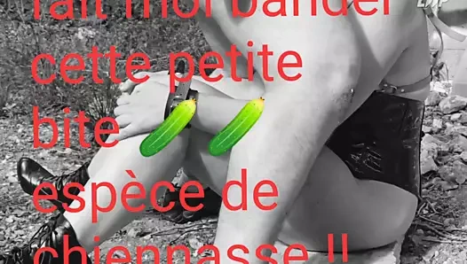 Fais moi bander chiennasse