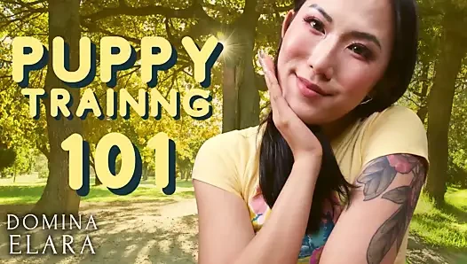 Köpek eğitimi 101 full clip: dominaelara.com