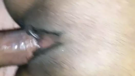 Kahrolası bir kremsi kedi