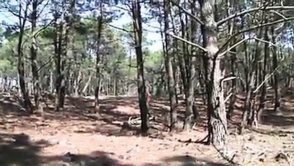 Karısı ormanda becerdin