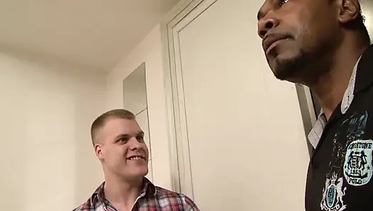 Ateşli ırklararası gavat