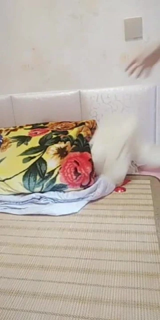 En iyi sürtük, hemşire seksi banyo ıslak günaha