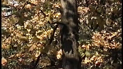 Altın yıldızlar 1