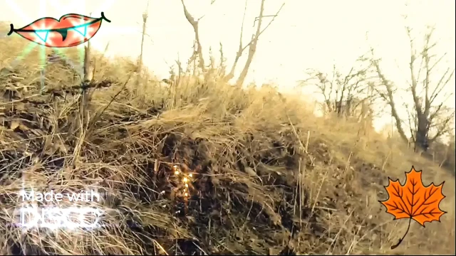 Yine dışarıda