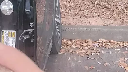 Waffle evinin arkasında