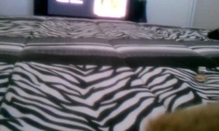 Ghetto milf oakland california datiz