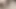 Fucking with Neighbour / Padosan Bhabhi ko Choda