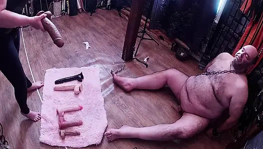 Bölüm 2 :- Domina Satana ile booboo için yarak emme eğitimi.