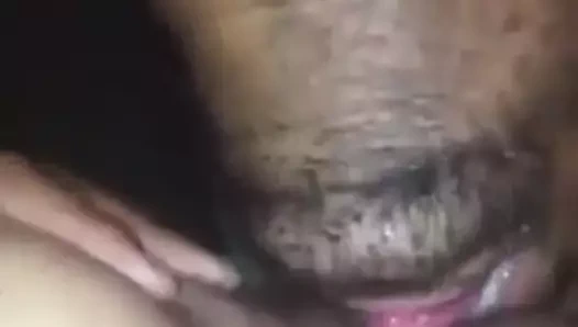 Şaşırtıcı yalama kedi