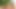 Travesti Julia Alves sert yarağı ve sikiş makinesiyle oynuyor