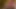 santas little helper under the Christmas tree now in full 4K high quality Ultra HD