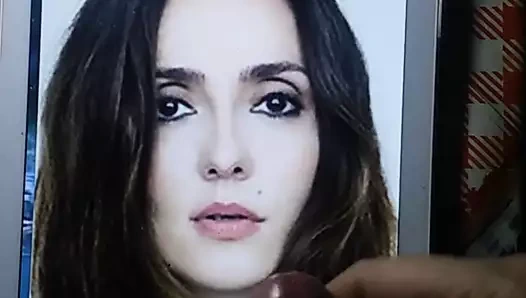 haraç ambra anjiolini