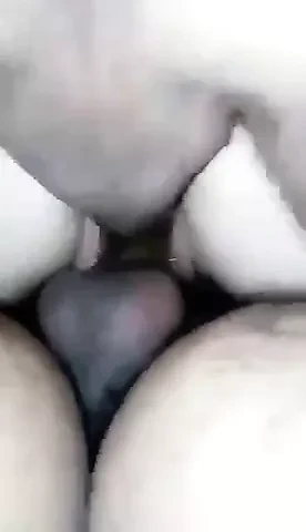 Sert dp – karısının fışkıran kedisi yok edildi