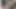 Seksi latin fışkırtıyor ve döl yutuyor