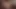 Falconstudios kas iri koç geldi ve ben onu analiz ettim