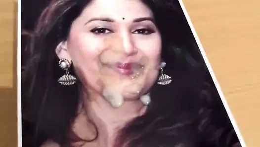 Madhuri dixit döl haraç