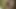 İki ateşli shelesbian video çekimine hazırlanıyor, sonunda videodan önce birbirlerini emiyor ve sikiyor