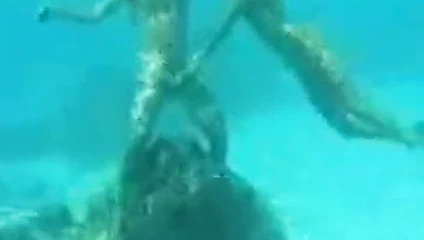 Mauritius plaj sikme