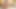Ateşli orta yaşlı seksi kadınlar çift dildo makaslama ve ıslak amcık ile lezbiyen seks