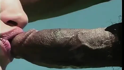 Deri dişli esmer vixen sikiş zevki için siyah yarağı kölesini kullanıyor